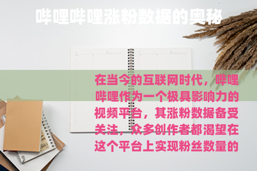 哔哩哔哩涨粉数据的奥秘