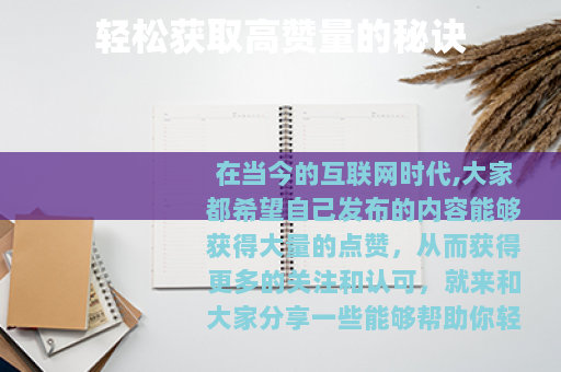 轻松获取高赞量的秘诀
