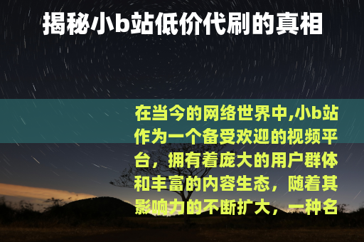 揭秘小b站低价代刷的真相