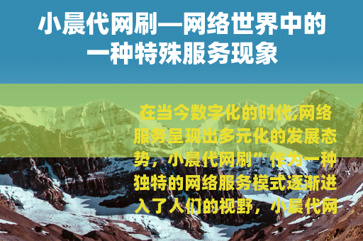 小晨代网刷—网络世界中的一种特殊服务现象