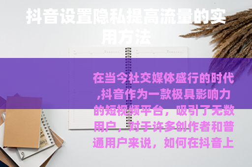 抖音设置隐私提高流量的实用方法