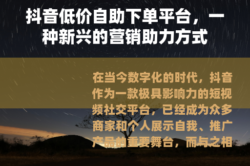 抖音低价自助下单平台，一种新兴的营销助力方式