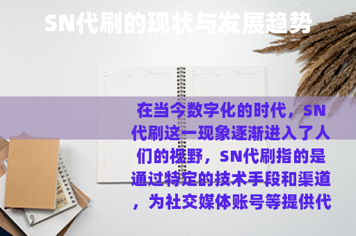 SN代刷的现状与发展趋势
