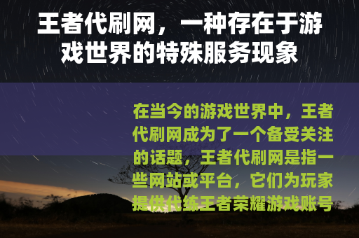 王者代刷网，一种存在于游戏世界的特殊服务现象