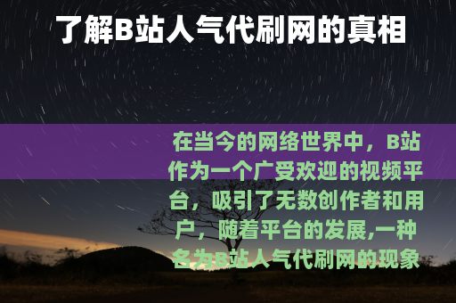 了解B站人气代刷网的真相