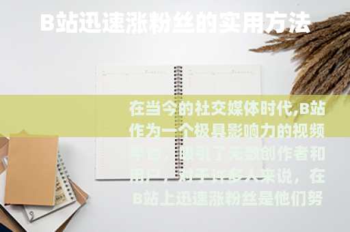 B站迅速涨粉丝的实用方法