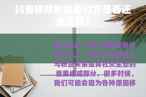 抖音移除粉丝后对方是否还关注我？