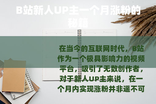 B站新人UP主一个月涨粉的秘籍