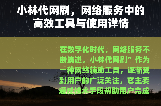 小林代网刷，网络服务中的高效工具与使用详情