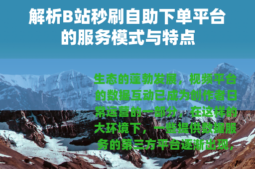 解析B站秒刷自助下单平台的服务模式与特点