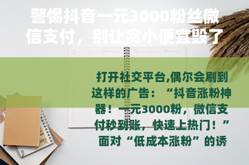警惕抖音一元3000粉丝微信支付，别让贪小便宜毁了你的账号