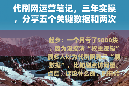代刷网运营笔记，三年实操，分享五个关键数据和两次教训