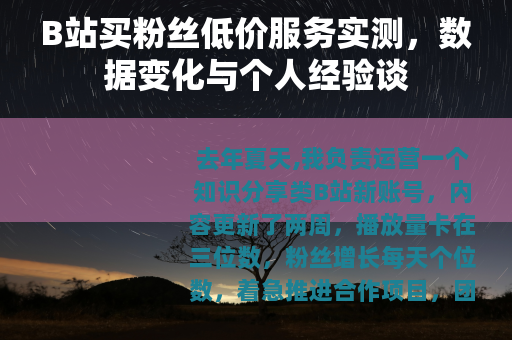 B站买粉丝低价服务实测，数据变化与个人经验谈