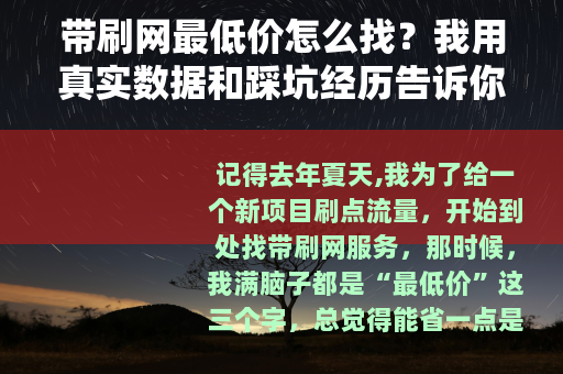 带刷网最低价怎么找？我用真实数据和踩坑经历告诉你