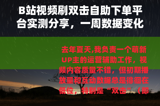 B站视频刷双击自助下单平台实测分享，一周数据变化与操作手记