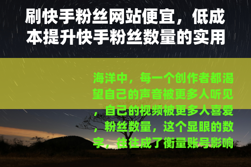 刷快手粉丝网站便宜，低成本提升快手粉丝数量的实用指南与经验分享