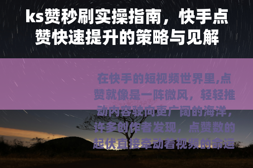 ks赞秒刷实操指南，快手点赞快速提升的策略与见解