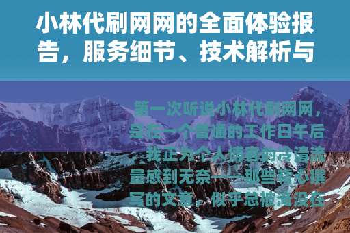 小林代刷网网的全面体验报告，服务细节、技术解析与用户故事