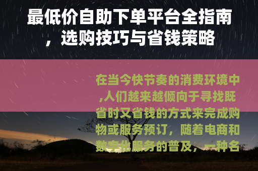 最低价自助下单平台全指南，选购技巧与省钱策略