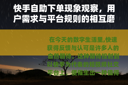 快手自助下单现象观察，用户需求与平台规则的相互磨合
