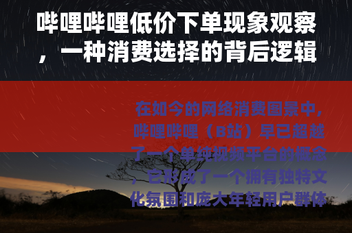 哔哩哔哩低价下单现象观察，一种消费选择的背后逻辑