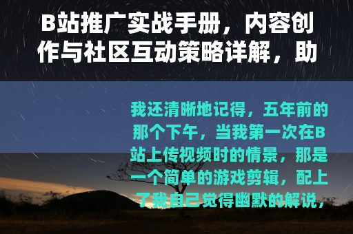 B站推广实战手册，内容创作与社区互动策略详解，助力品牌增长