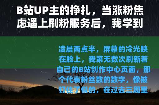 B站UP主的挣扎，当涨粉焦虑遇上刷粉服务后，我学到的事