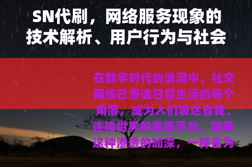 SN代刷，网络服务现象的技术解析、用户行为与社会效应深度探讨