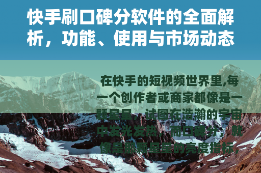 快手刷口碑分软件的全面解析，功能、使用与市场动态