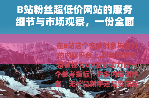 B站粉丝超低价网站的服务细节与市场观察，一份全面指南