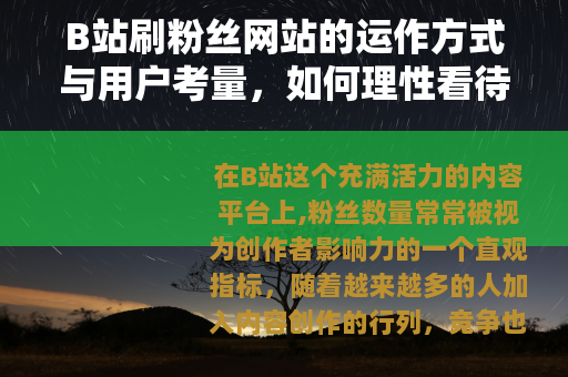 B站刷粉丝网站的运作方式与用户考量，如何理性看待粉丝增长策略