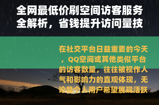 全网最低价刷空间访客服务全解析，省钱提升访问量技巧