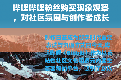 哔哩哔哩粉丝购买现象观察，对社区氛围与创作者成长路径的思考