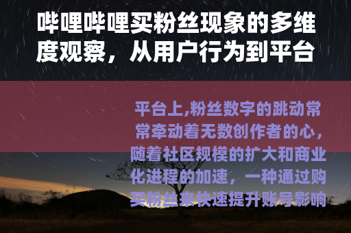 哔哩哔哩买粉丝现象的多维度观察，从用户行为到平台生态的演进轨迹
