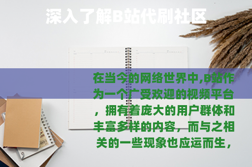 深入了解B站代刷社区