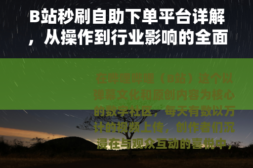 B站秒刷自助下单平台详解，从操作到行业影响的全面观察