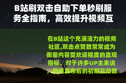 B站刷双击自助下单秒刷服务全指南，高效提升视频互动数据方法