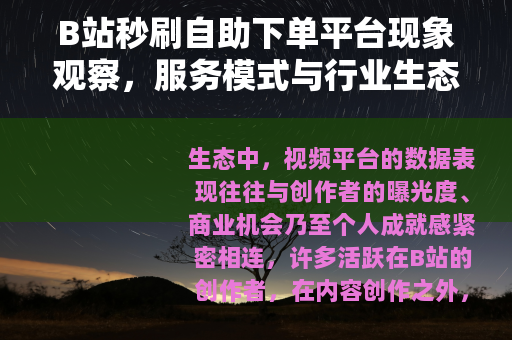 B站秒刷自助下单平台现象观察，服务模式与行业生态浅析