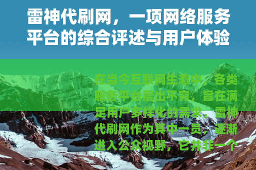 雷神代刷网，一项网络服务平台的综合评述与用户体验深度分享
