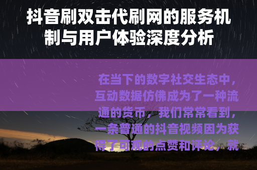 抖音刷双击代刷网的服务机制与用户体验深度分析