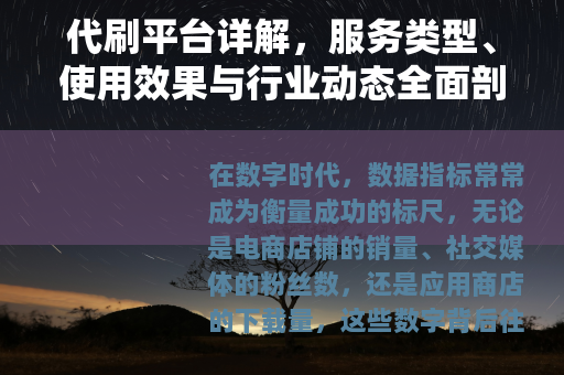 代刷平台详解，服务类型、使用效果与行业动态全面剖析