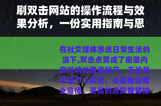 刷双击网站的操作流程与效果分析，一份实用指南与思考