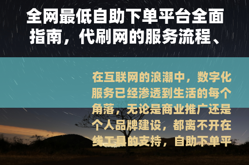 全网最低自助下单平台全面指南，代刷网的服务流程、优势与选择技巧