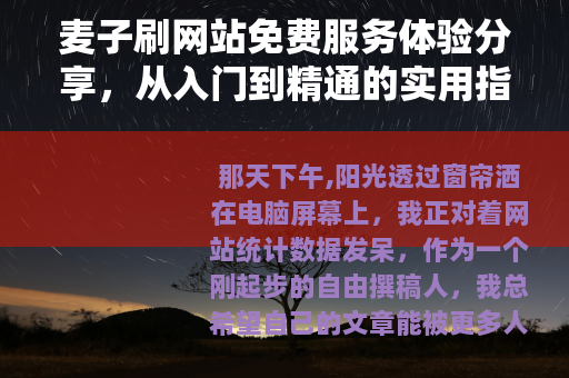 麦子刷网站免费服务体验分享，从入门到精通的实用指南