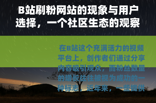 B站刷粉网站的现象与用户选择，一个社区生态的观察
