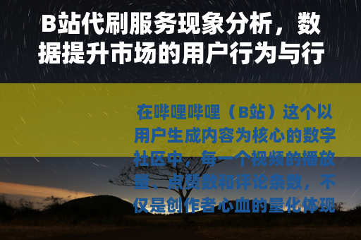 B站代刷服务现象分析，数据提升市场的用户行为与行业观察