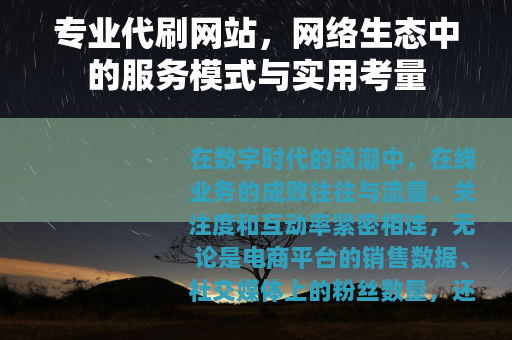 专业代刷网站，网络生态中的服务模式与实用考量