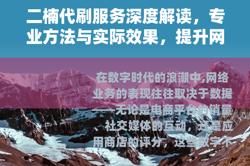 二楠代刷服务深度解读，专业方法与实际效果，提升网络业务的关键