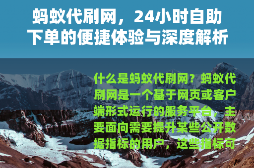 蚂蚁代刷网，24小时自助下单的便捷体验与深度解析