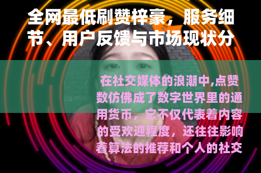全网最低刷赞梓豪，服务细节、用户反馈与市场现状分析